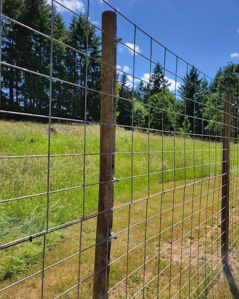 deer fence built with cattle panels held to posts with One Man Fencing Livestock Panel Connectors
