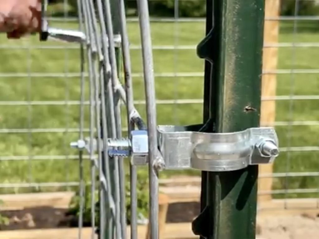 cattle panel trellis with One Man Fencing connectors