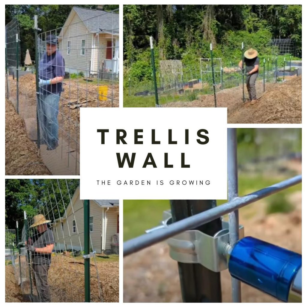 trellis wall installation picture collage