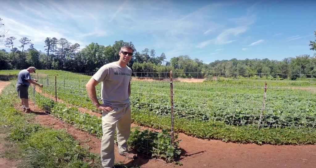 Phillip Morrow standing beside cattle panels with dad in background