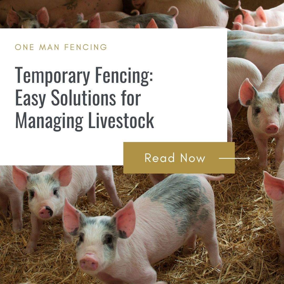 Temporary Fencing: Easy Solutions for Managing Livestock