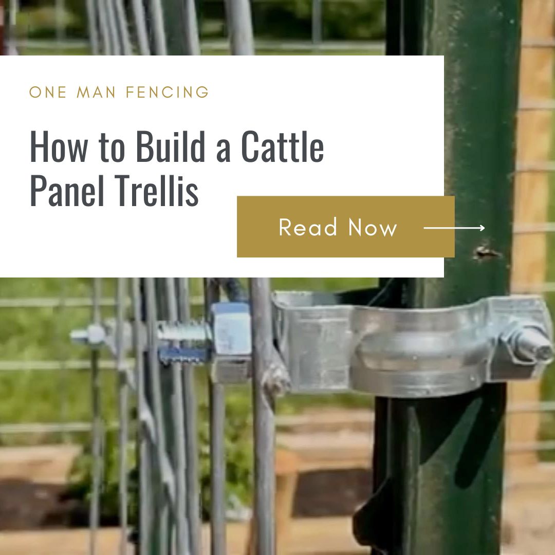 how to build a cattle panel trellis