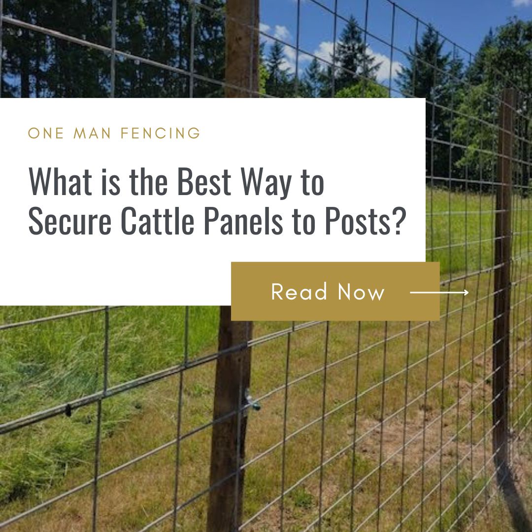 What is the Best Way to Secure Cattle Panels to Posts? Blog post feature image