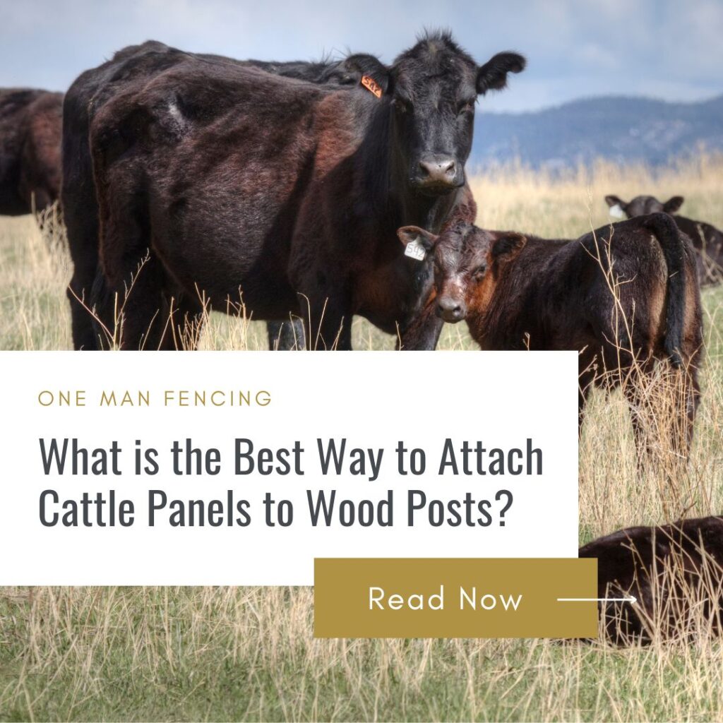 What is the Best Way to Attach Cattle Panels to Wood Posts - blog cover