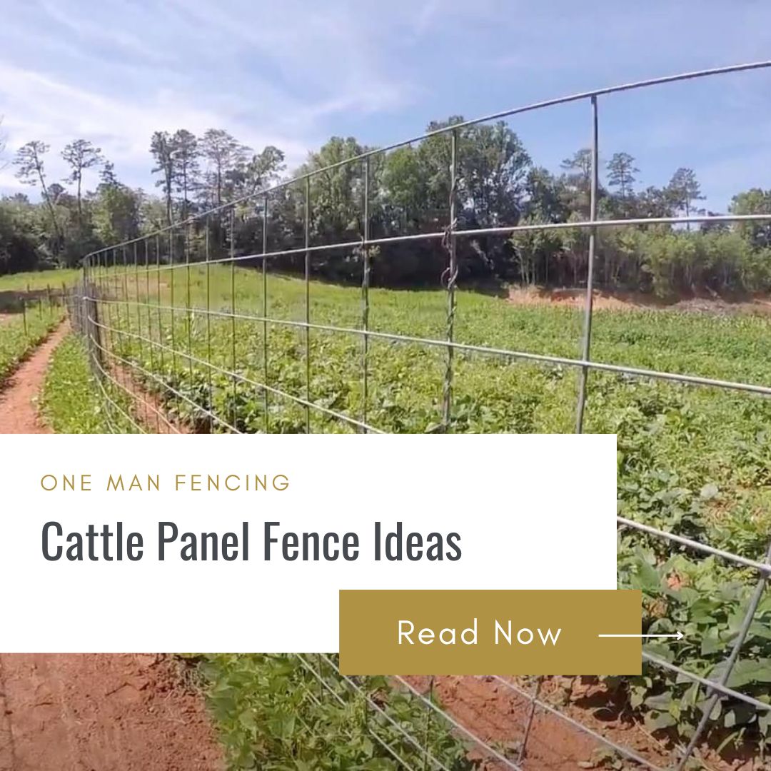 Cattle Panel Fence Ideas thumbnail