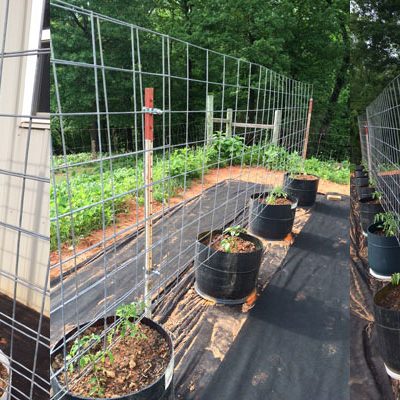 garden fence staked up using panel connectors by One Man Fencing