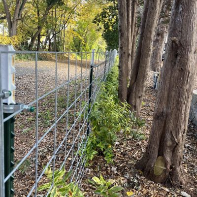Cattle Panel Fence installed with One Man Fencing Livestock Panel Connectors.