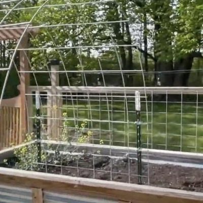 cattle panel trellis arch by Bog Life