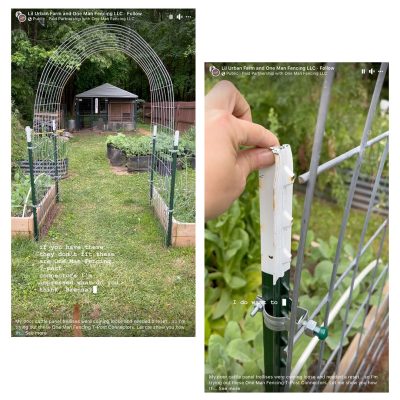 cattle panel trellis by lil urban farm