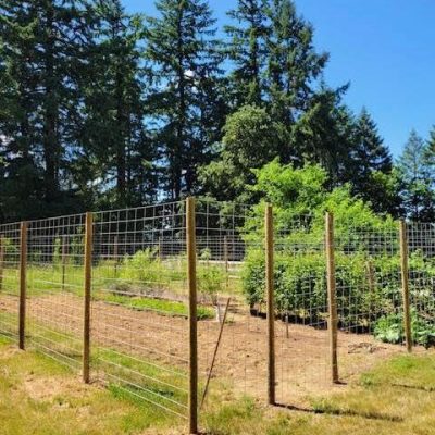 cattle panel fence around garden, installed with One Man Fencing Livestock Panel Connectors