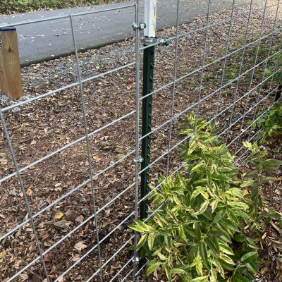 Livestock panels installed with t-posts and One Man Fencing livestock panel connectors.