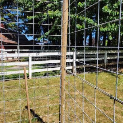Corner wood posts holding up cattle panels with brackets