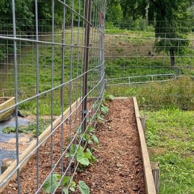 raised bed trellis