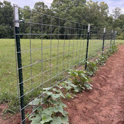 garden trellis